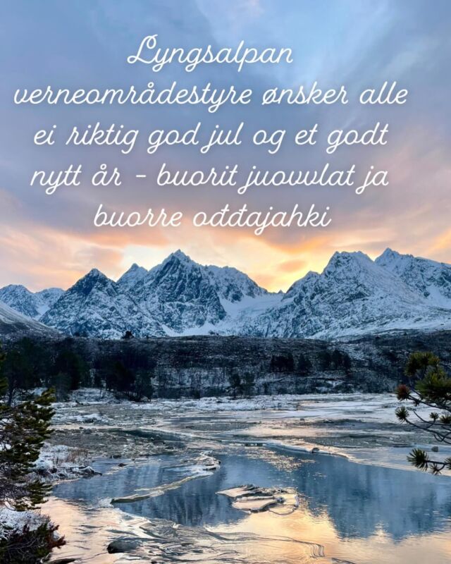 Instagram post 17907855983893759